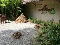 -大象粑粑造纸公园