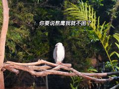 -清迈夜间动物园