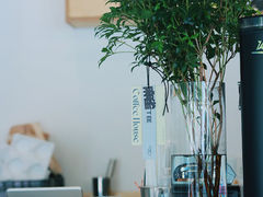 -麻雀咖啡SPARROW COFFEE(十全街店)