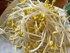 黄豆芽-喇喇排骨火锅·传统韩式脊骨汤(望京西园总店)