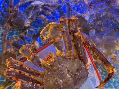 -驻海渔市(置信店)