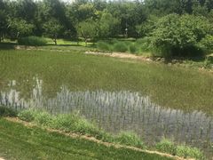 -北坞公园
