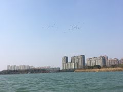 -暨阳湖生态园