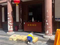 -西安乐游原