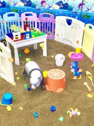 -佳贝爱益智主题儿童乐园(乐尔乐旗舰店)