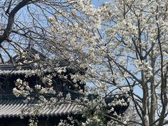 -狼山风景名胜区