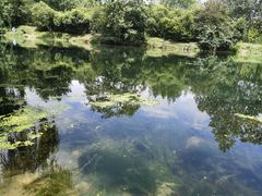 -贵阳市花溪国家城市湿地公园