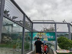 -西霞口神雕山野生动物世界