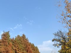 -狼山风景名胜区