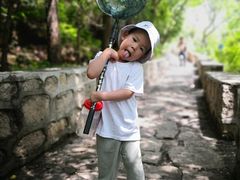 -碓臼峪自然风景区