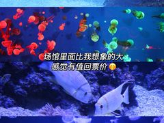 -成都浩海立方海洋公园