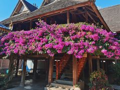 -西双版纳傣族园