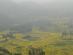-牛街螺丝田