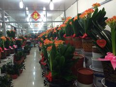 -无锡文化工艺品市场(槐古路店)