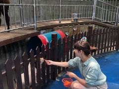 -上海崇明金茂凯悦酒店