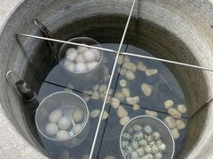 -凤翔首邑温泉度假村