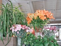 -春暖花开(西溪店)