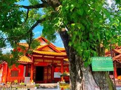 -西双版纳总佛寺