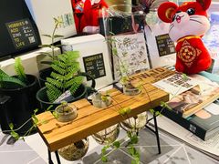 -ZING COFFEE 镜咖啡