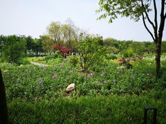 -江苏三台山国家森林公园