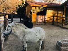 -北京市海淀外国语实验学校