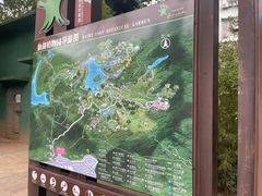 -深圳仙湖植物园