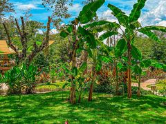 -西双版纳傣族园