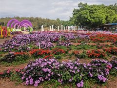 -松山湖梦幻百花洲