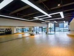 综合舞蹈操房-锐菲特游泳体育健身中心(滨江店)