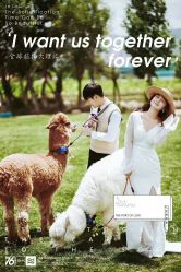 -薇光映画摄影美学馆