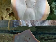 -珠海长隆海洋王国