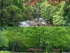 -姑婆山旅游区