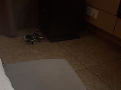 -金色印象·4k影院式足体养生(龙腾路店)