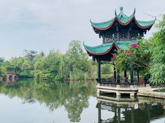 -桂湖森林公园