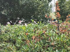 -雅和生态渔庄·宜城锅巴饭(龙灵山公园店)