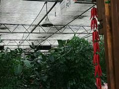 -特味村福园
