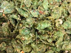 -终南山南五台景区