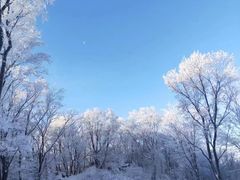 -中旅松花湖滑雪场