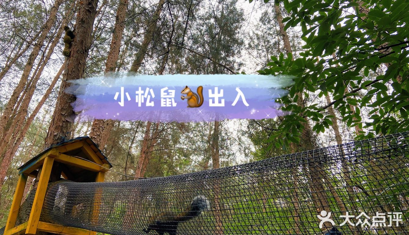 遛娃宝藏地-松鼠部落🐿️推荐！