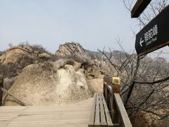 景点-大岭沟猕猴桃谷风景区