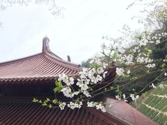 -中国花亭湖风景名胜区-西风禅寺