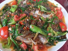 -生态苑农庄(十里画廊遇龙河店)