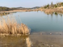 -天目湖涵田度假村