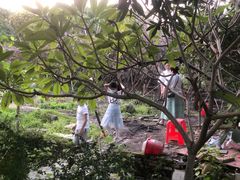 -大眼强五杯鹅·桑拿鸡煲