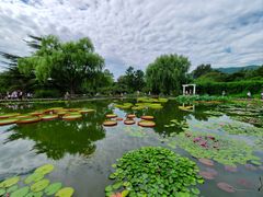 -国家植物园南园