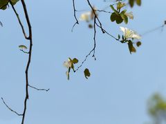-洲头咀公园