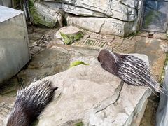 -黔灵山公园