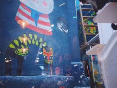 -猫咪博物馆(顶澳仔猫街店)