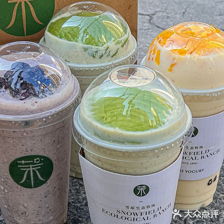 漂亮mm都在喝的茉酸奶🥑