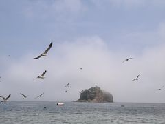 -棒棰岛宾馆景区